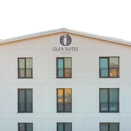 Olea Gemlik