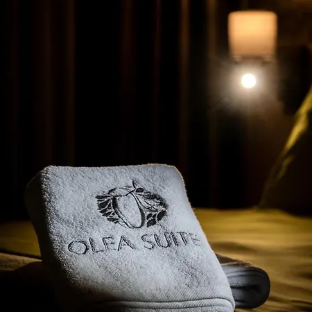 Olea 4* Гемлик