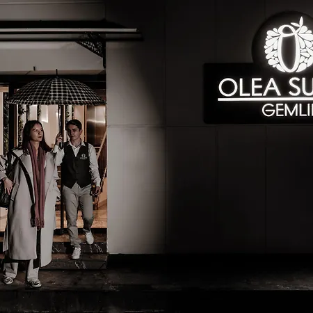 Olea Gemlik