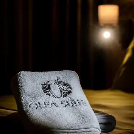 Olea Appart hôtel Gemlik